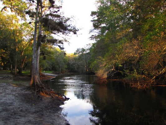 Along the riverbank in Withlacoochee River Park. (Photo by B.A. Bowen Photography/flickr)