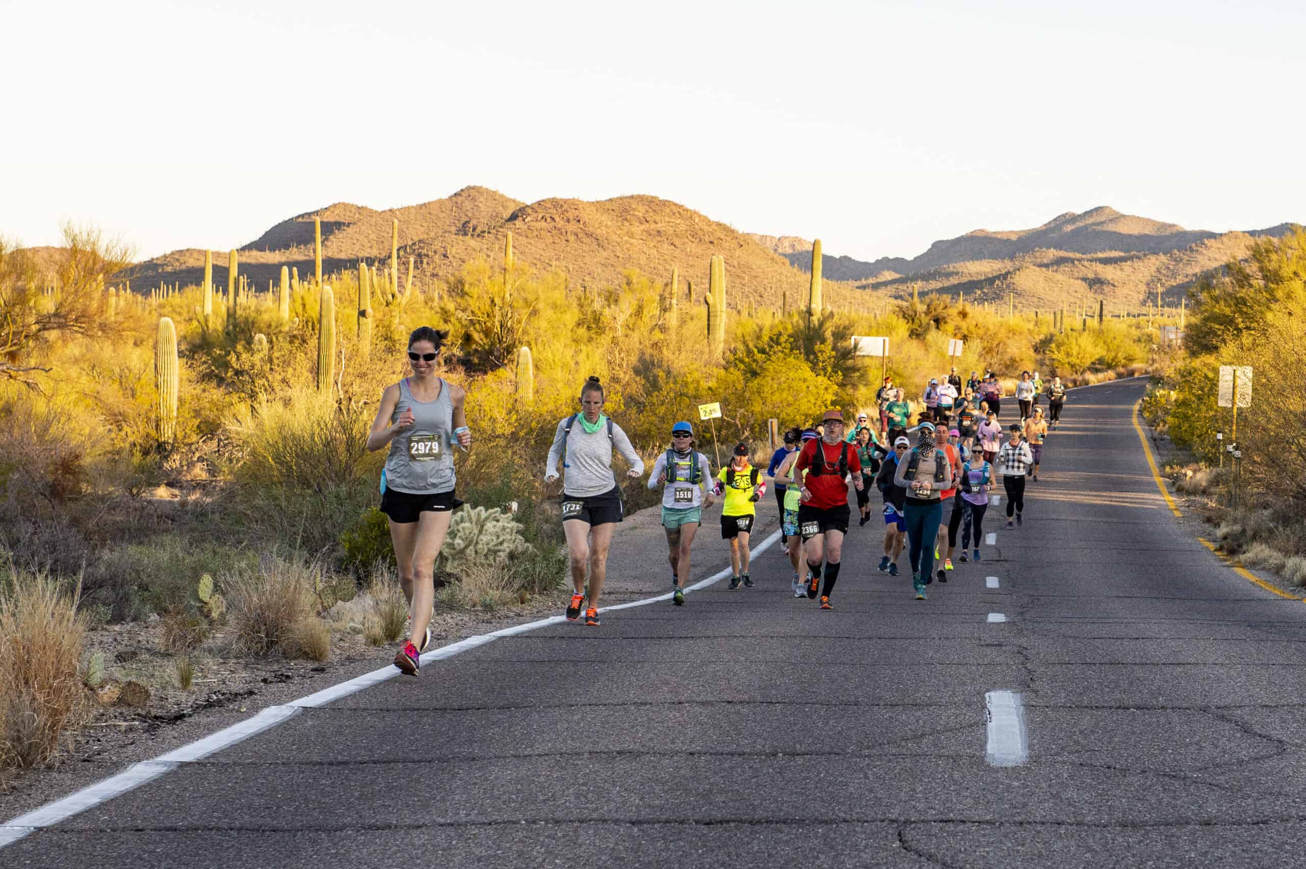 An image of runners on the pavement portion of the Saguaro Half Marathon.