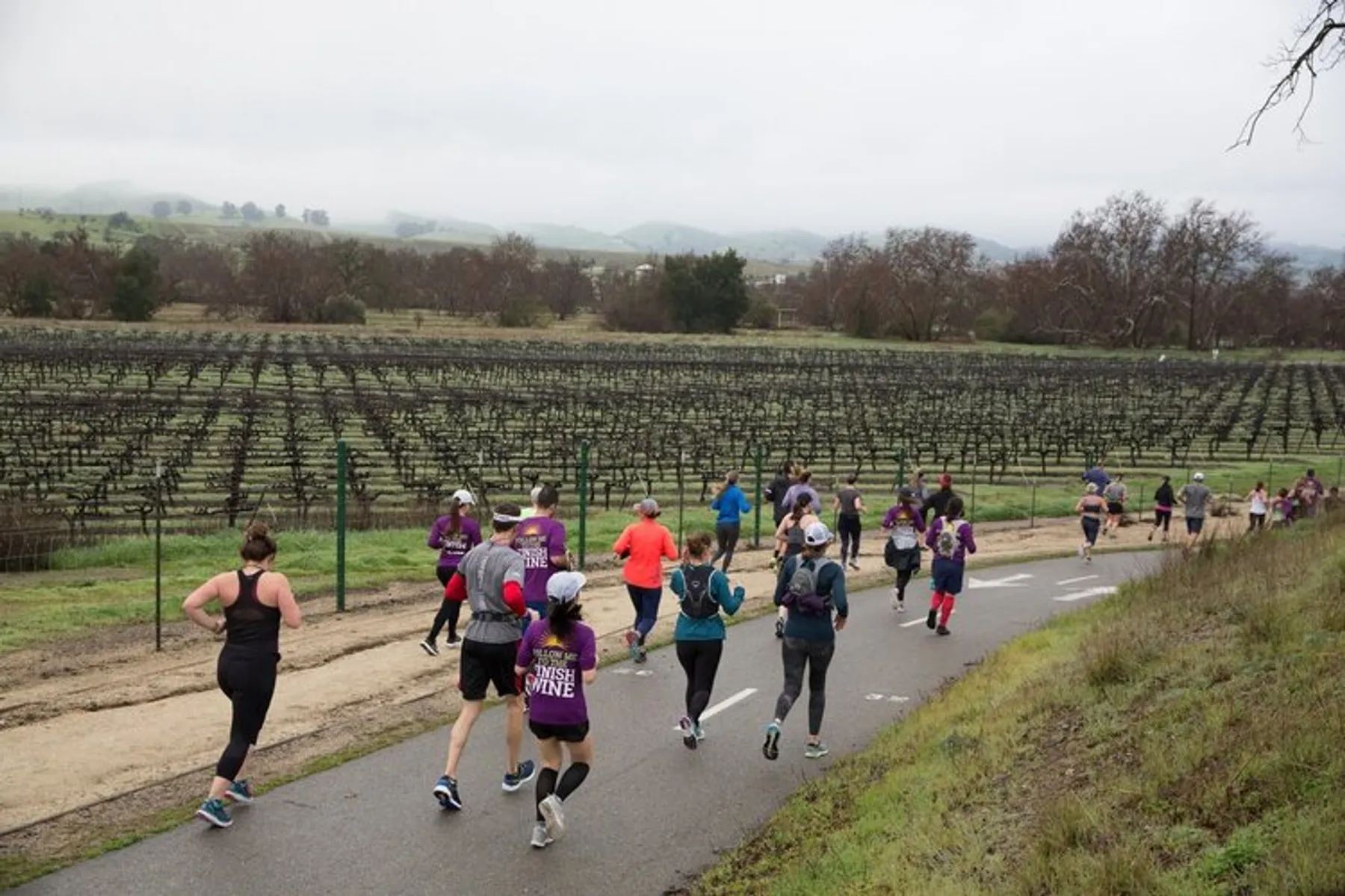 The Best Bay Area Half Marathons in 2024 Half Marathon Guide