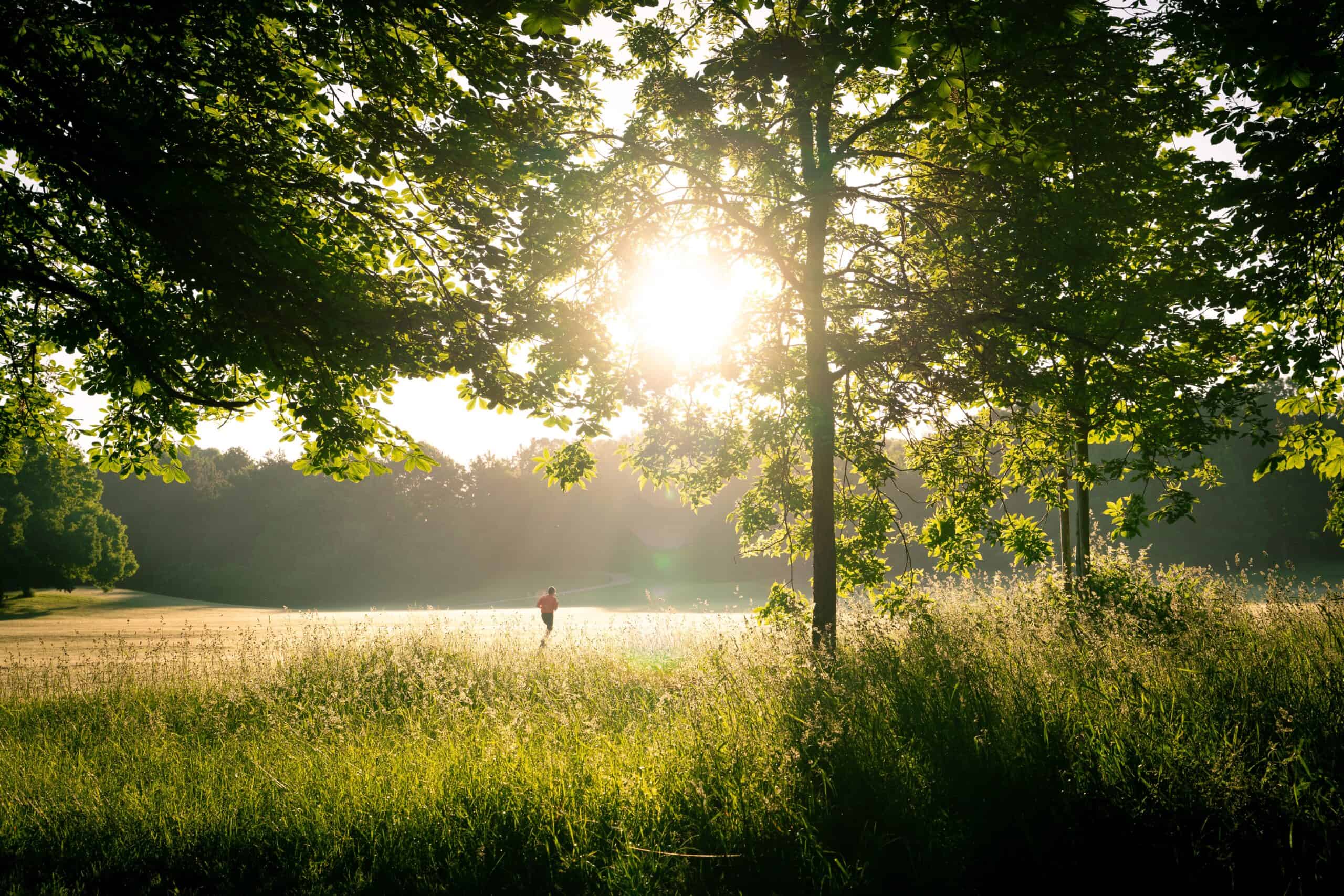 A lone runner in slow running through a luscious foliage.