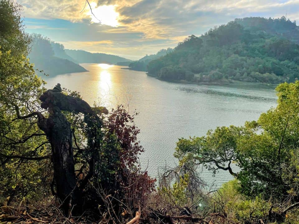 Lake Chabot Half Marathon