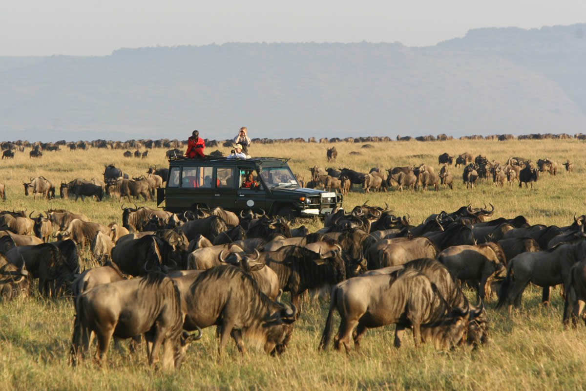 Trail Run Adventures offers a running camp in Kenya through a safari.