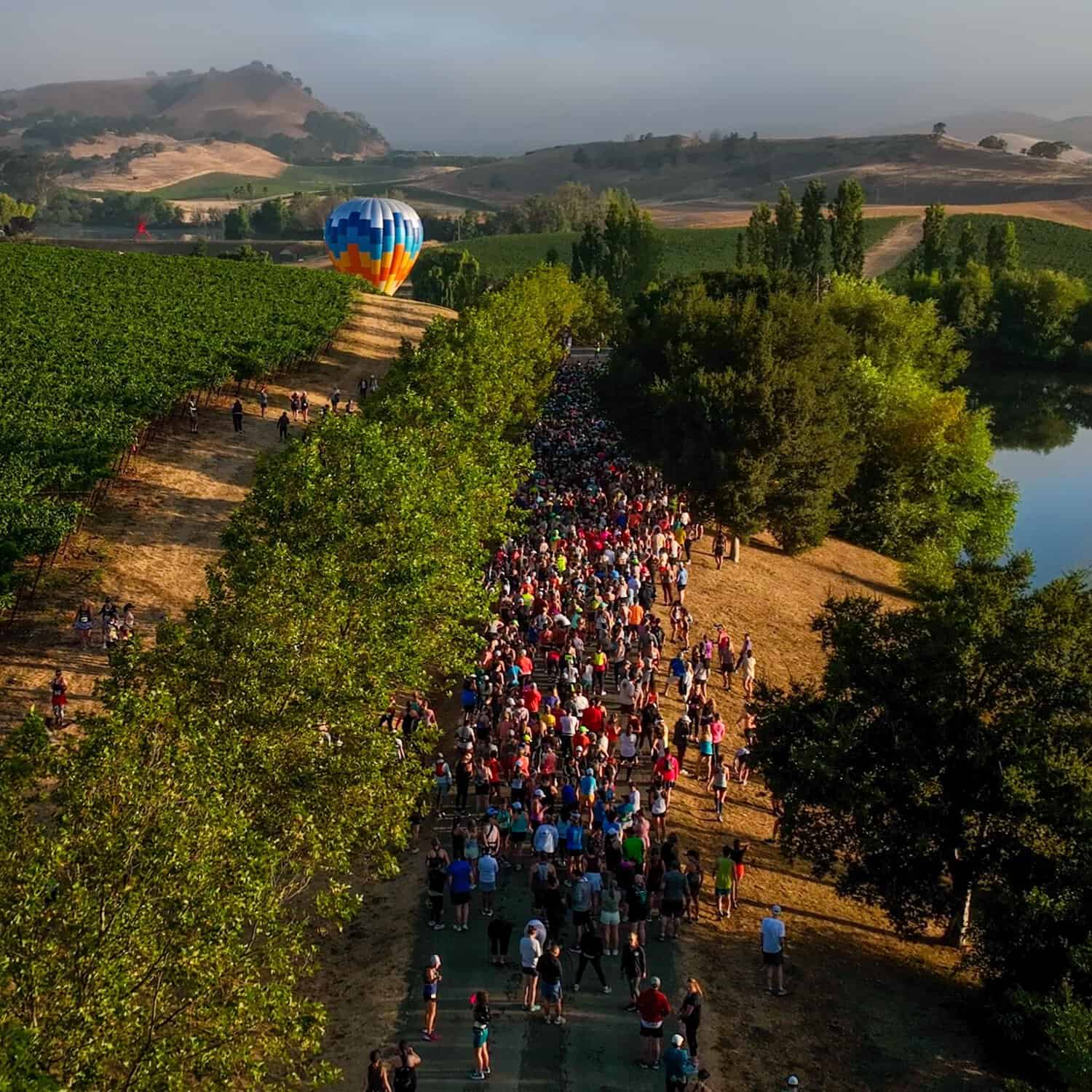 Santa Barbara Wine Country Half Marathon