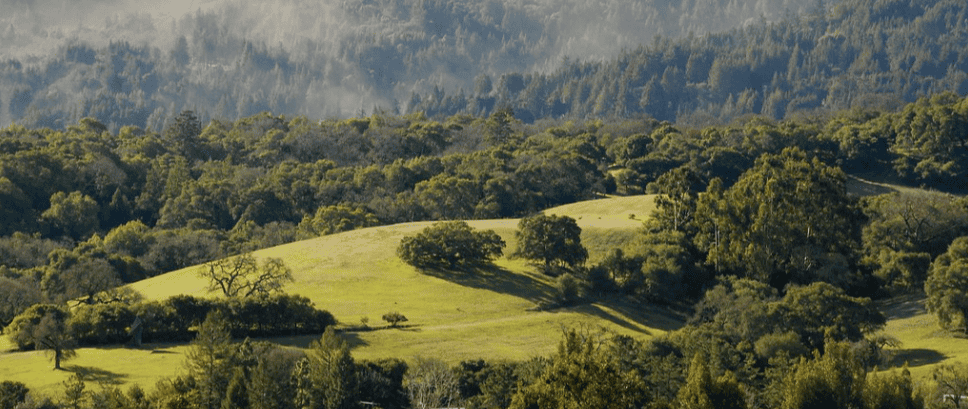 Huddart Park in Woodside, California